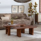 SETT a 2 stk.  COFFEE TABLE MANGO WOOD ROOM 110 X 60 X 40 CM thumbnail
