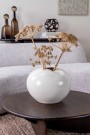 ANNABEL COFFEE TABLE WALNUT Ø80 X H30 thumbnail