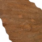 2stk, SCULPTURE SEASHELL NATURAL WAY 50 X 9 X 54 CM thumbnail