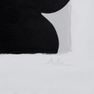 2stk, Valmuler, håndmalt lerret 80x80 thumbnail